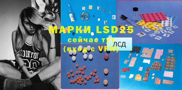 шишки Баксан