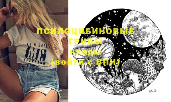 шишки Баксан